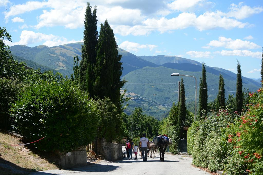 Agriturismo Campagna In Compagnia Vallo di Nera Exterior photo